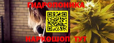 мяу мяу мука Малгобек