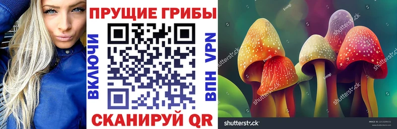 Галлюциногенные грибы Cubensis  где можно купить наркотик  Печора 