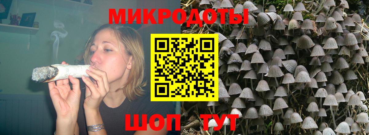 Псилоцибиновые грибы Psilocybine cubensis  Вход с VPN  Печора 
